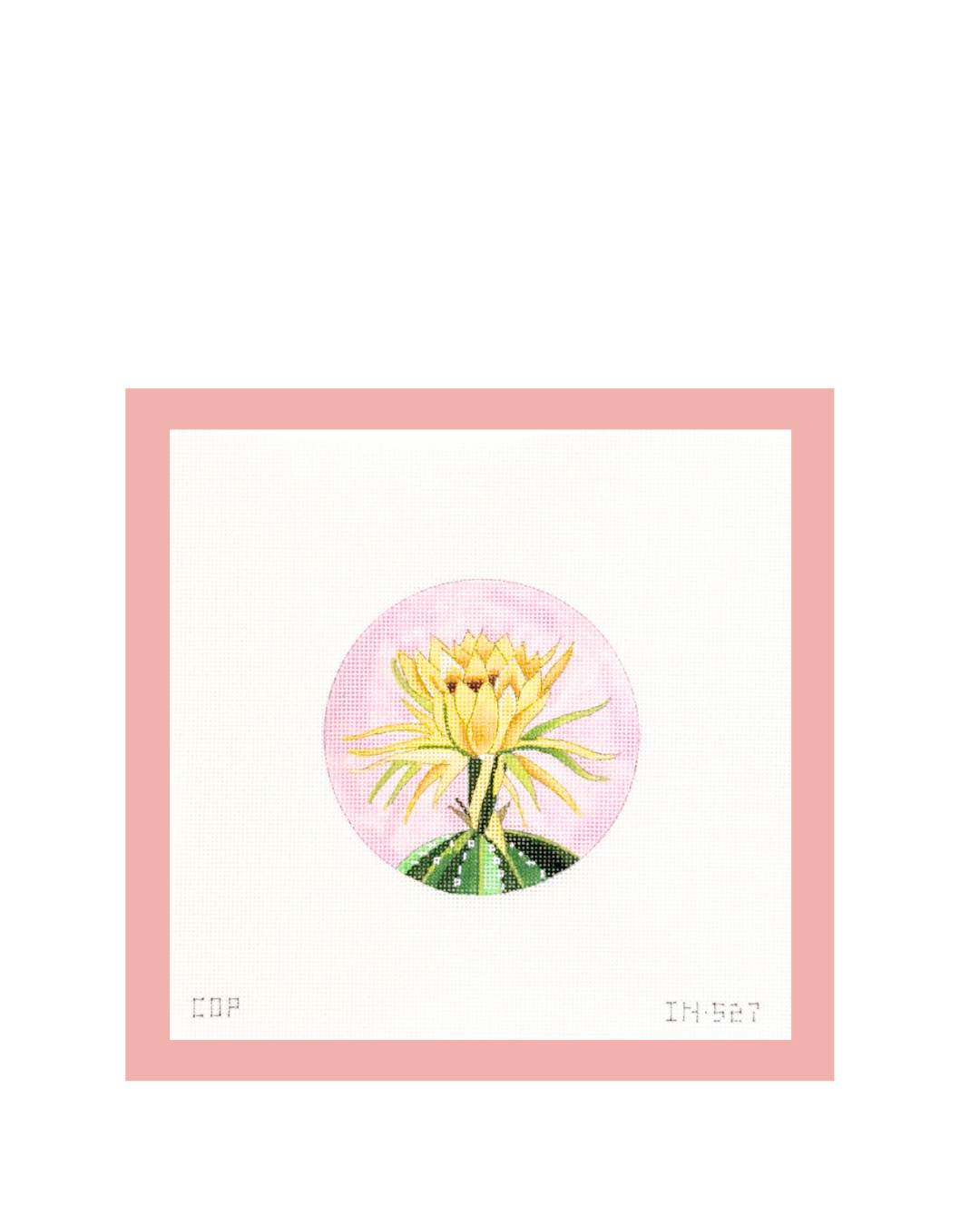 Cactus Bloom